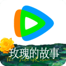 风情艳主