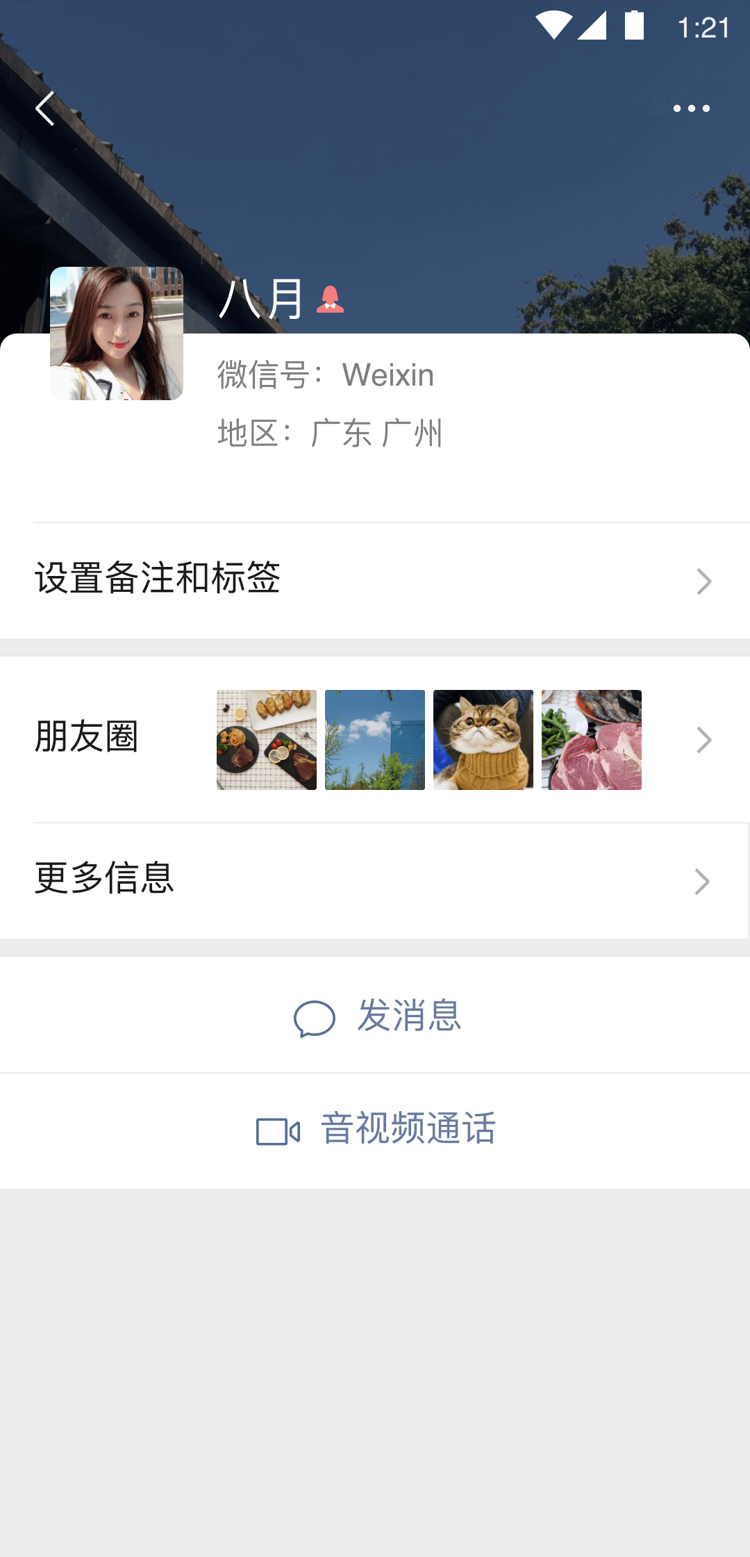 好多只脚的昆虫是什么截图